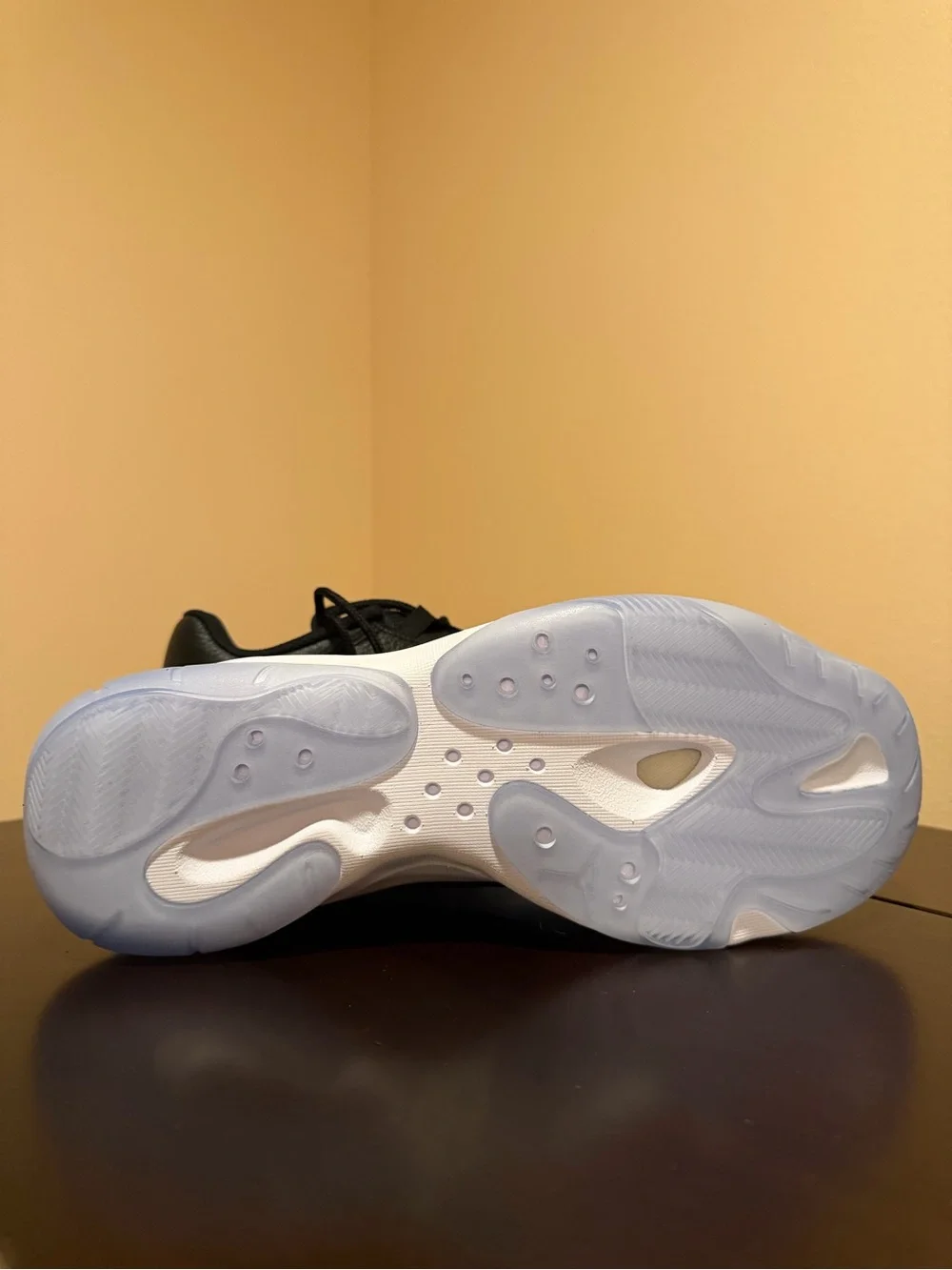 Jordan nike air